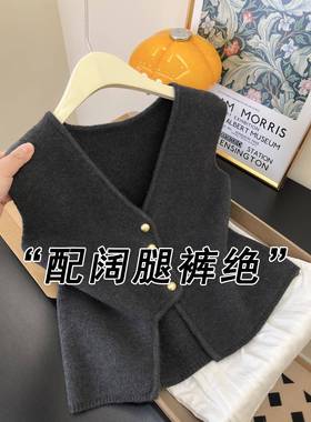 灰色属扣V领针织马甲女秋毛衣开衫背心叠穿高级坎肩无袖上衣1111e