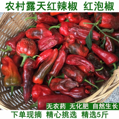 新鲜大红椒农家自种做辣椒酱剁椒肉厚红辣椒微辣现摘当季蔬菜包邮