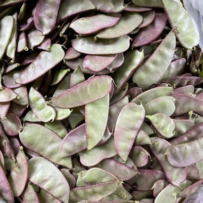 紫扁豆农家露天时令新鲜蔬菜南汇紫扁豆红扁豆扁豆角荚芸豆包邮