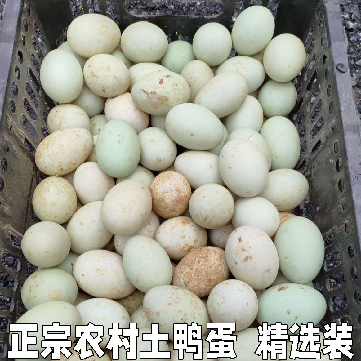 正宗农家新鲜生鸭蛋土鸭蛋