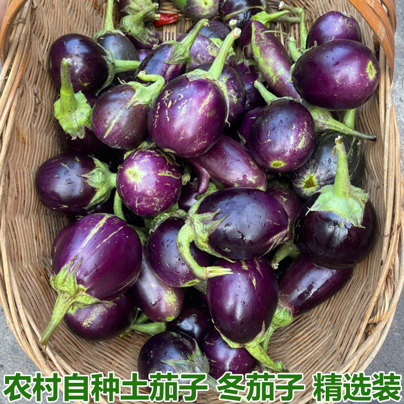 农家自种紫圆茄子新鲜蔬菜紫茄子本地老品种紫色椭圆茄子冬茄子