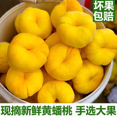 新鲜黄金油蟠桃现摘整箱甜桃子孕妇当季新鲜水果黄桃扁桃黄油蟠桃
