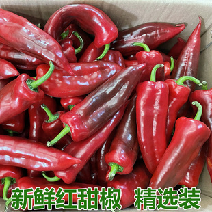 新鲜红辣椒大红辣椒红尖椒农家现摘辣椒鲜红甜椒当季菜包邮菜椒