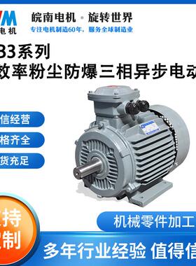 安徽皖南YFB3系列高效率粉尘防爆三相异步电动机三级能效380V50Hz
