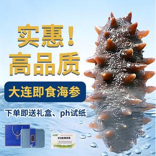 即食海参刺鲜活淡干即食海渗辽宁大连干货野生海生500g高品质装袋