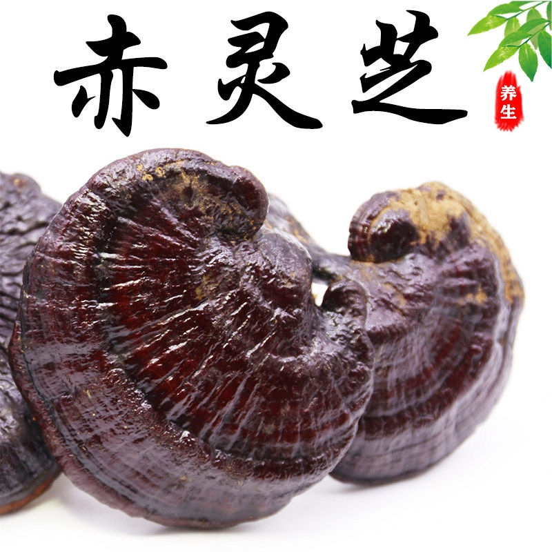 神农架野生赤灵芝500g精选特级中药材赤芝丹芝潮红灵芝的功效作用