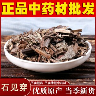 中药材  石见穿 紫参 石打穿月下红石见川 石大川500g