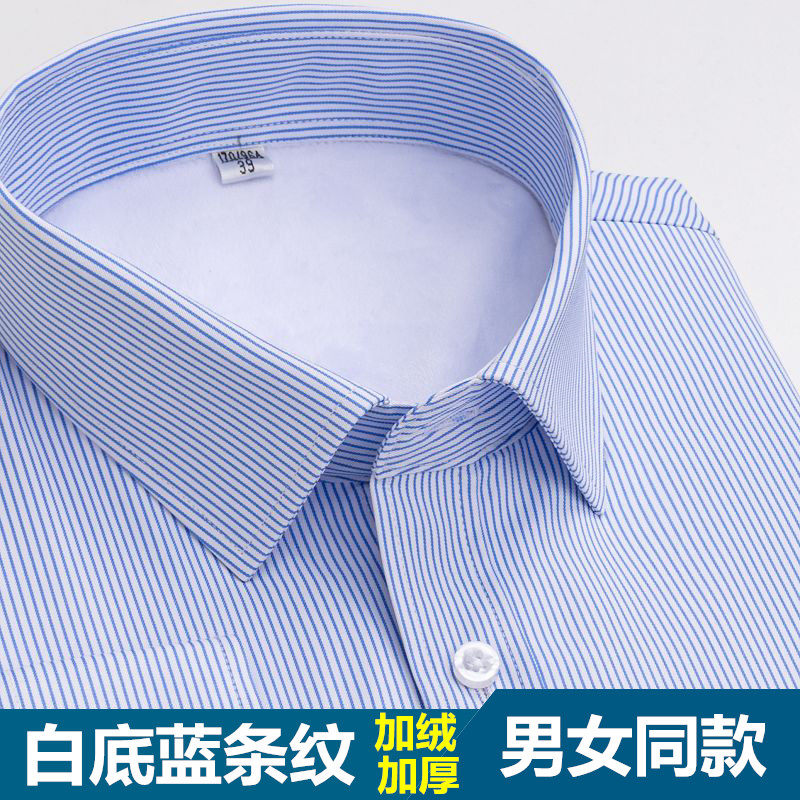 蓝白竖条纹加绒保暖衬衫女职业正装加厚银行方领ol工作服大码衬衣