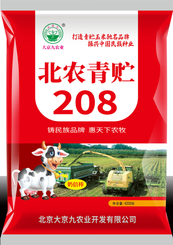 青贮玉米大京九北农208青储棒子种子优质饲草饲料玉米种子