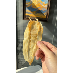 【鸿瑞行】20头苏里南北海胶公 特价清库存出