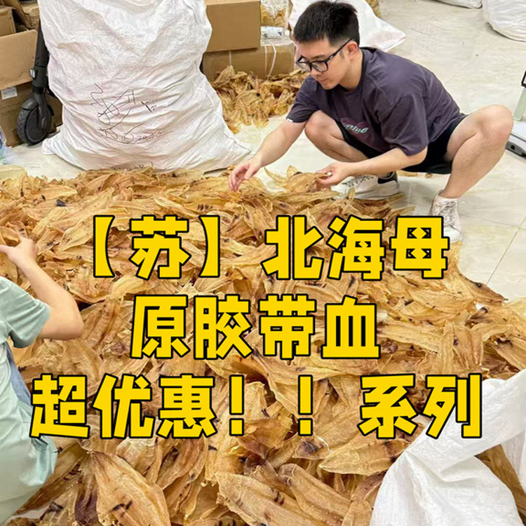（带红苏母）野生深海苏母北海胶公母北海鳘鱼胶孕妇月子煲汤滋补