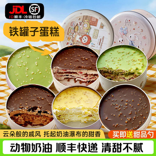铁罐蛋糕动物奶油千层慕斯甜品下午茶巧克力糕点心零食品顺丰包邮