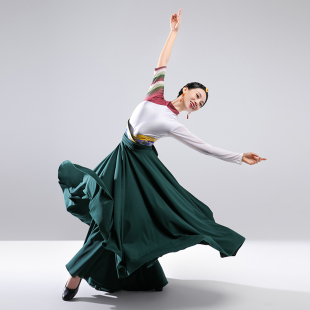 夏辉老师藏族舞蹈服装 定制课间练习演出表演半身裙艺考级服饰订做