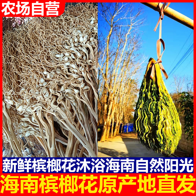干槟榔花海南特产新鲜槟榔花束自然晒干广东煲汤猪肚鸡汤养胃食材