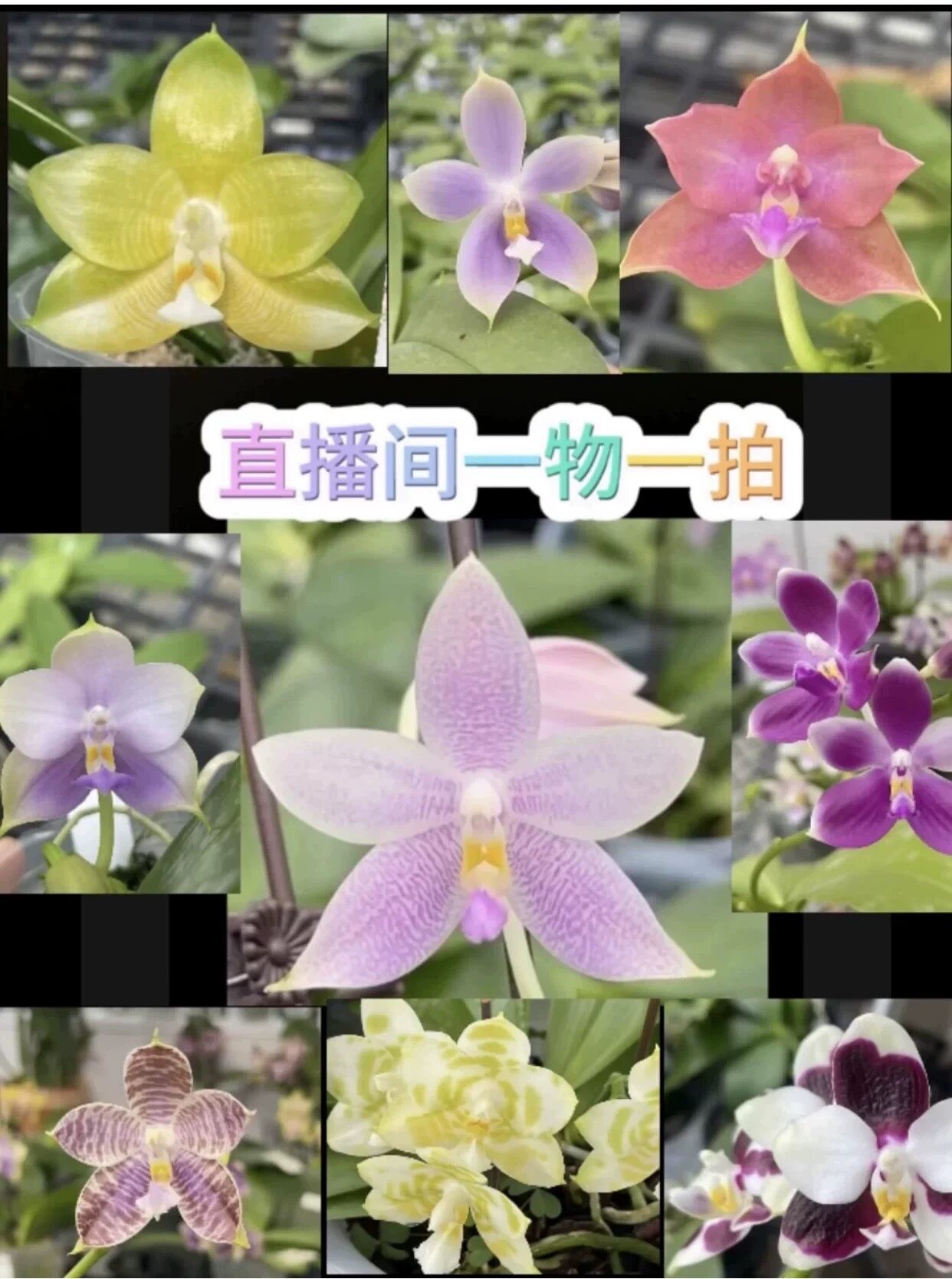 直播间一物一拍专属链接