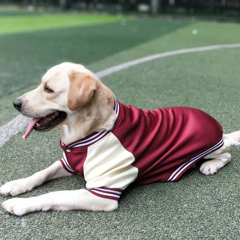 棒球服宠物服装中大型犬金毛拉布拉多狗狗衣服秋冬装厚款2022新款