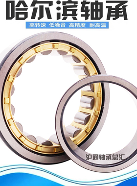 哈尔滨轴承N NJ NU NF NUP 303 304 305 306 307 308 309 310M