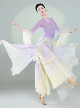 古典舞舞蹈服装飘逸仙气纱衣上衣练功服中国舞民族舞演出服套装女