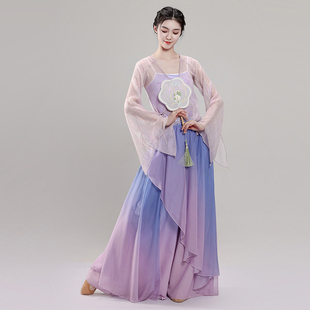 古典舞蹈服女飘逸身韵纱衣练功服新款 仙气古风中国舞蹈演出服套装