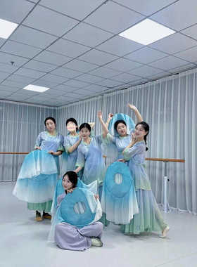 古典舞唐风仙气舞蹈服飘逸套装古装新款中国舞民族舞台表演出服装