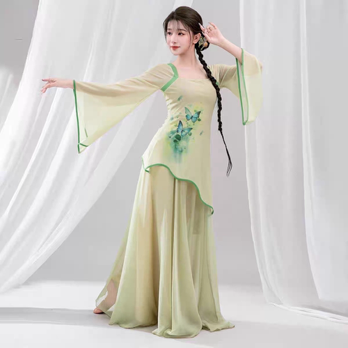 中国风新款古典舞蹈演出服女飘逸