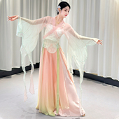 古典舞表演服新款 女超仙身韵飘逸纱衣国风民族舞蹈练功艺考演出服
