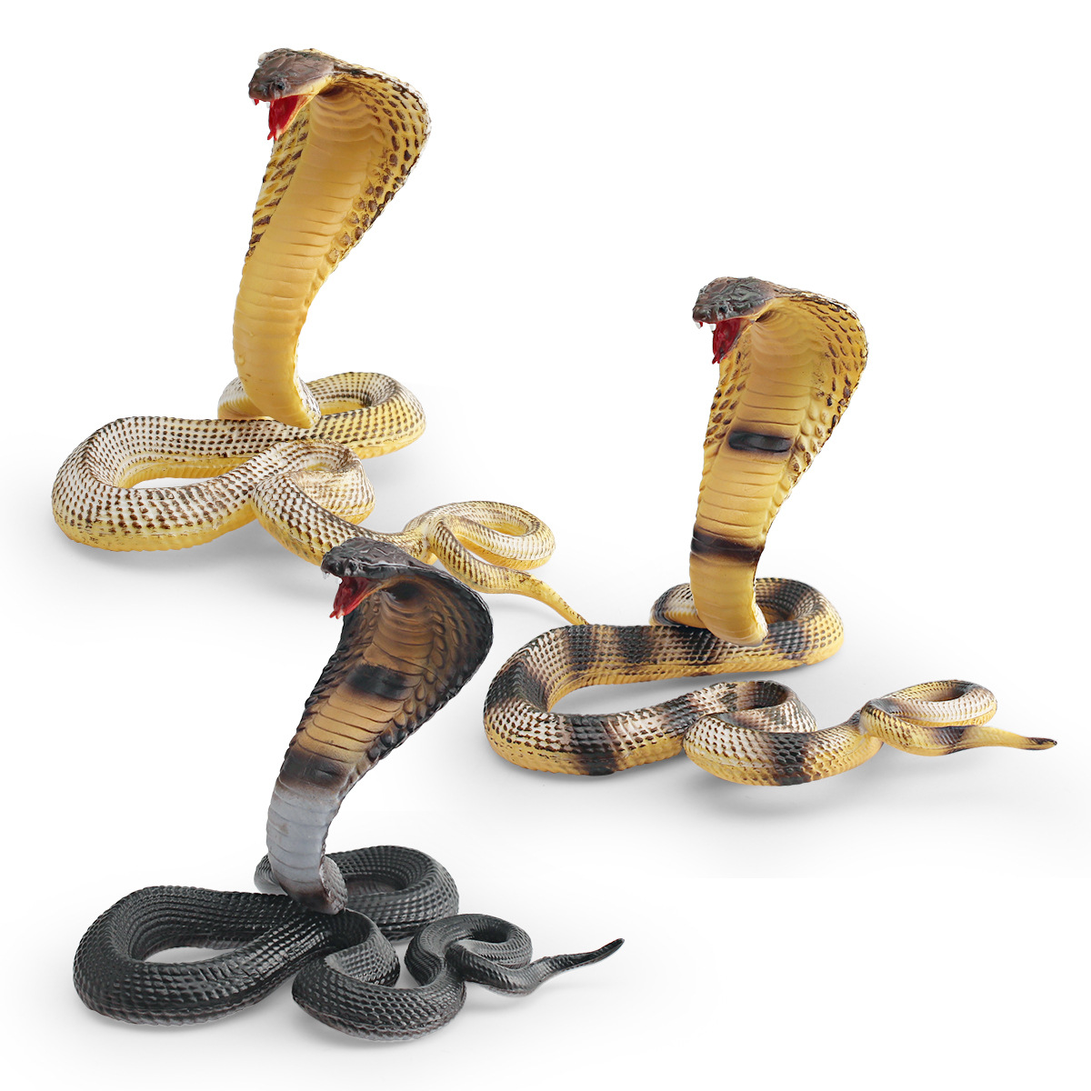 仿真野生爬行动物毒蛇模型儿童认知眼镜蛇蝙蝠蛇整蛊装饰摆件