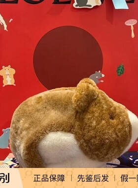 日本购LOEWE罗意威 suna fujita联名款 兔子单肩斜跨包 北京现货