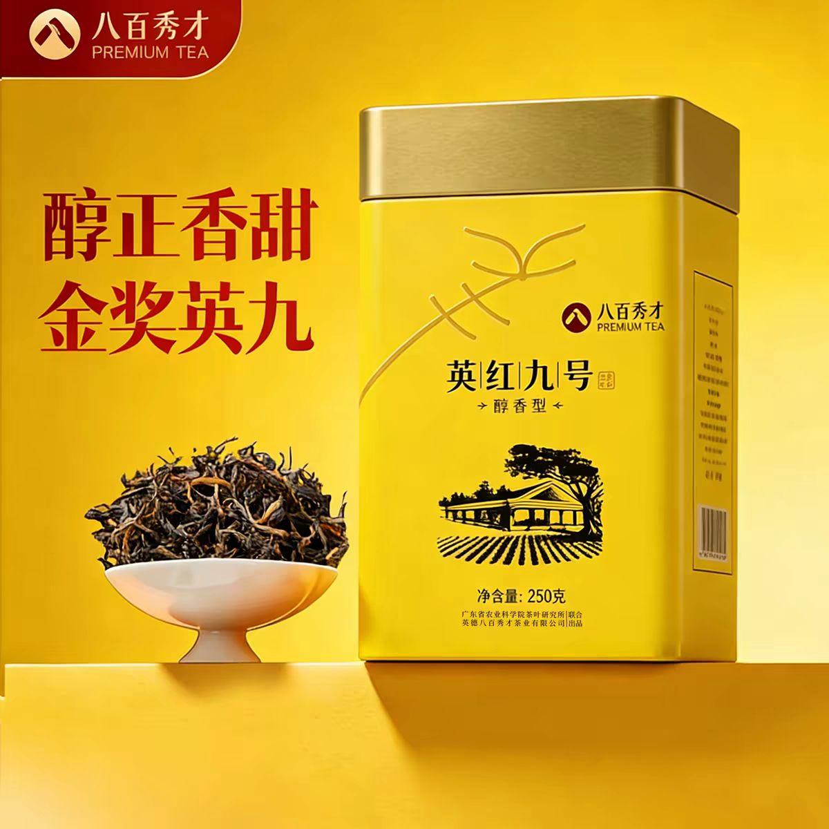 八百秀才英红九号新茶古树英德红茶醇香型茶叶礼盒罐装送礼送长辈图片