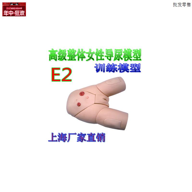 女导尿训练教学医学模型医院培训模型高级L整体女性导尿模型