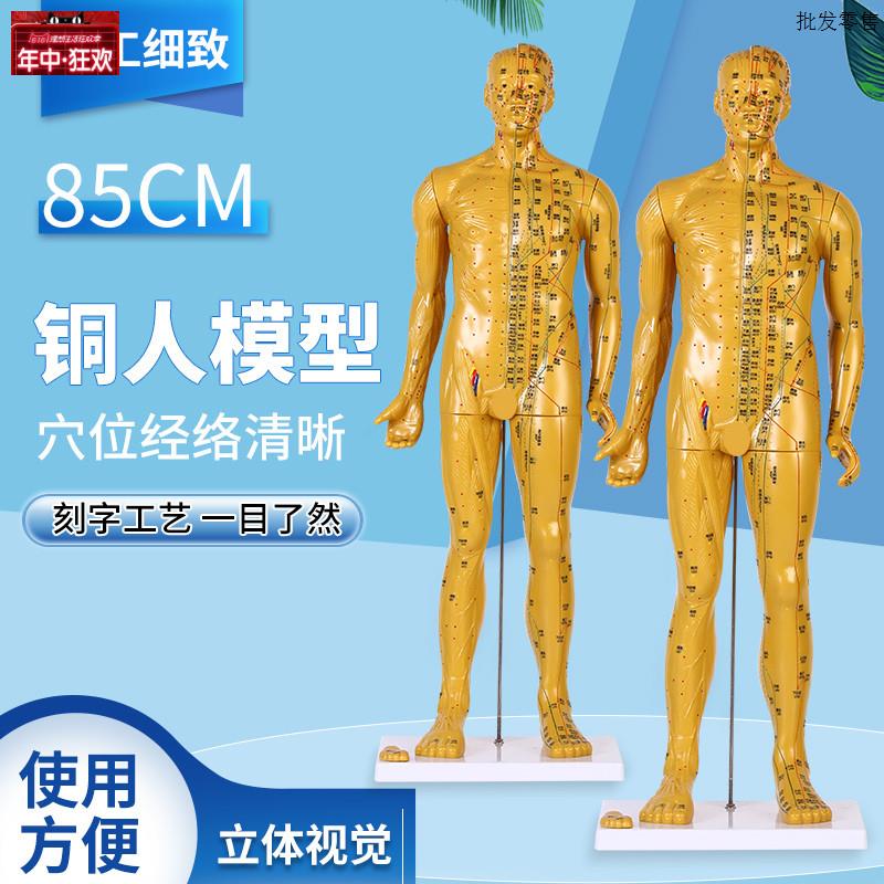 80CM针灸穴位人体模型经络穴位模特图全身中C医十二铜人扎针练习