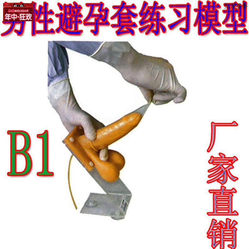 男性避孕练习模型j避孕模型性教育模型男性模型健康检查模型