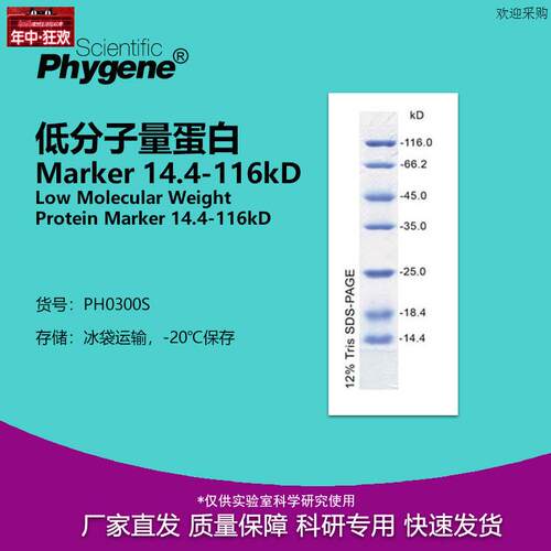 低分子量蛋白MarkerP14.4-116kD20T-100lPH0300SPHYGENE