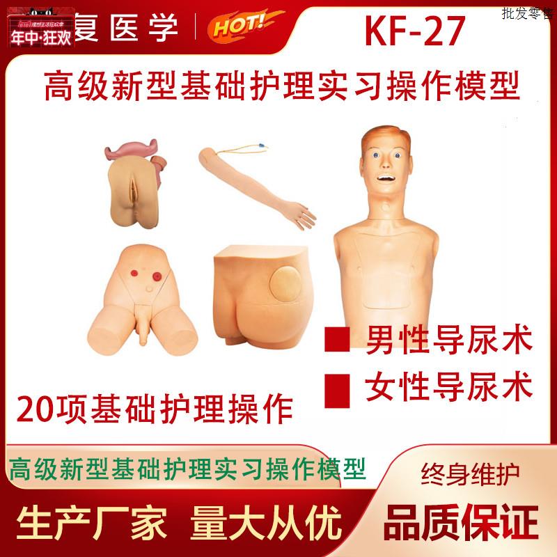 高级新型基础护h理实习操作模型(五部件)局部护理教学模型导尿