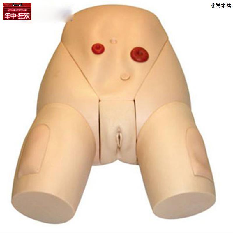 高级医学导尿器官实习练习模型女性生殖器导尿f培训模型训练模具