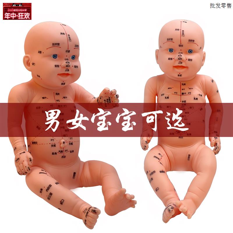 小儿推拿模型家政月嫂培训婴幼儿护理J全身穴位仿真练手教学娃娃