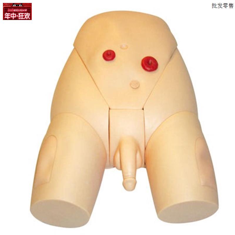 高级整体男性导尿模型P人体导尿模型男女性导尿模型导尿示教模型