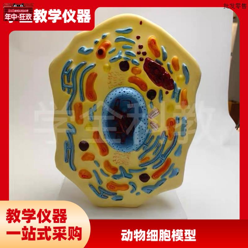 动物细胞模型显微结构解X剖模型细胞膜细胞质细胞核线粒体