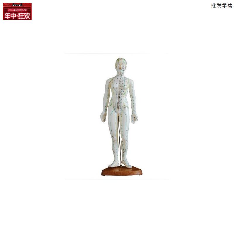 人体针灸模型48CM人体全身s穴位模型医学教学培训专用女性