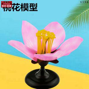桃花模型可拆卸双子叶植物花蕊子房初高中生物课教育K仪器装备农