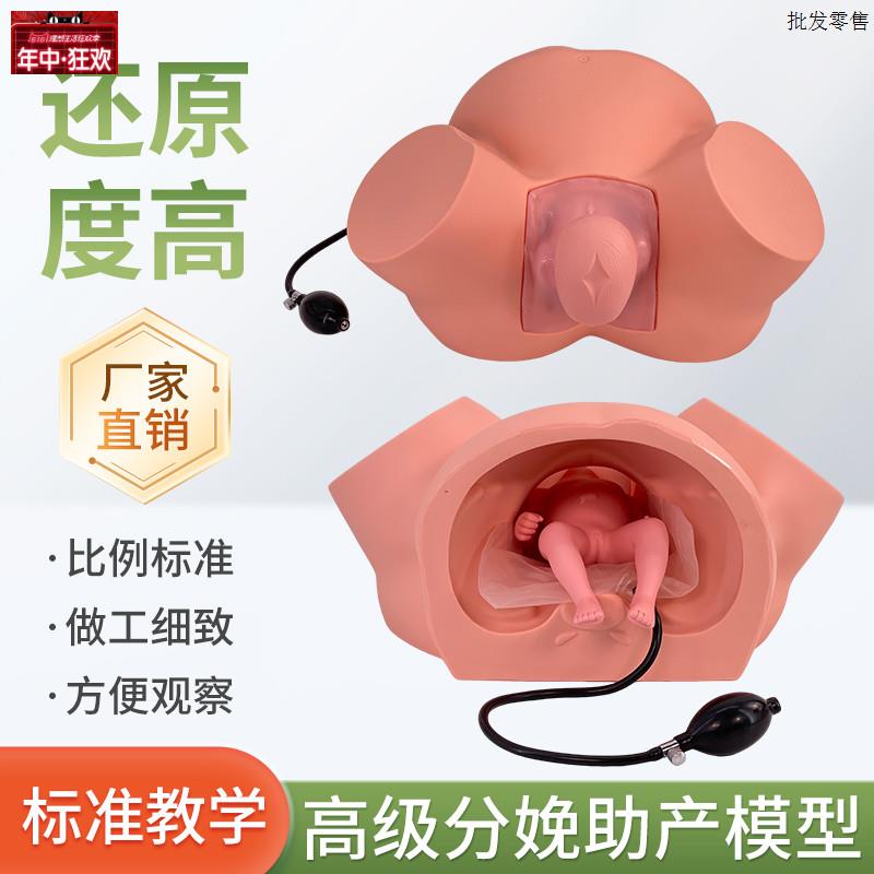 高级助产训练模型妇Y产科分娩模型产科教学模具助产士培训难产示