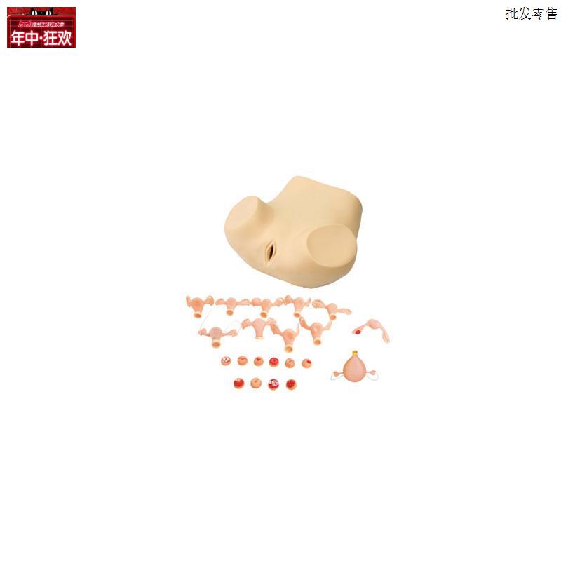 高级妇科综合检查护理模型妇产科训练医n学教学培训教具产科教学