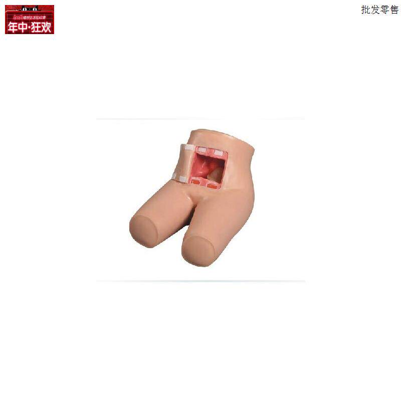 高级灌肠和M辅助排便训练模型
