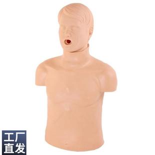 CPR155高級成人氣道梗塞及CPR模型