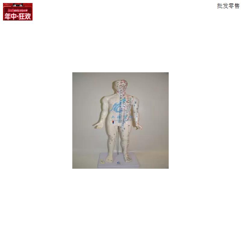 80cm85cm穴位针灸人体模型(白色u)专业职教训练使用