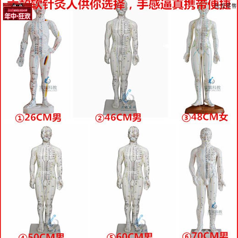 超清人体针灸穴位模型经络通铜人刻字中医教学人K体模型男女小人