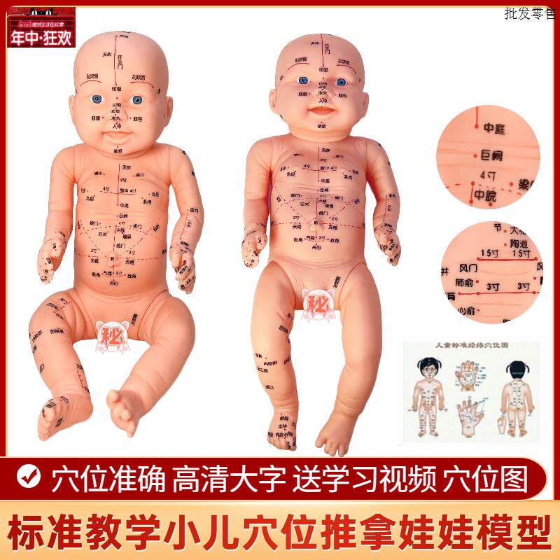 婴儿人体模型培训宝宝保健针灸c中医通用穴位小儿推拿穴位娃娃模