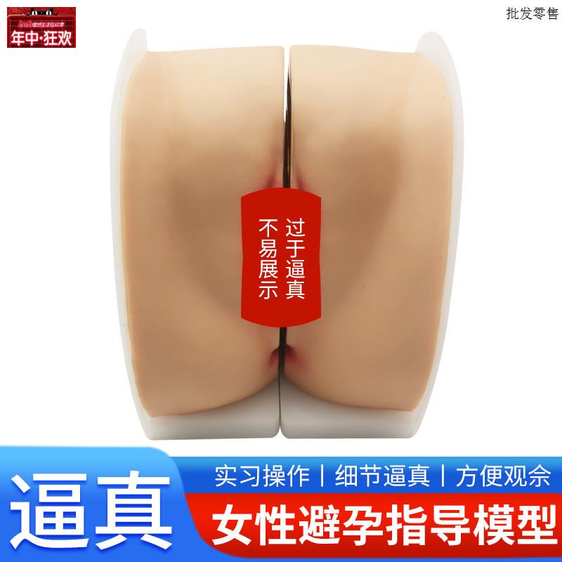 女性生殖器模型宫颈V子宫阴道卵巢妇科检查生殖私密教学1比1