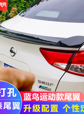 16-2021款新蓝鸟运动款改装炭纤