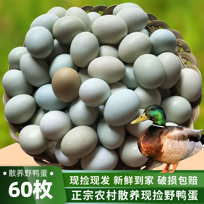 绿头野鸭蛋60枚一箱40枚新鲜农家散养土鸭蛋20枚生鸭蛋鲜鸭蛋整箱